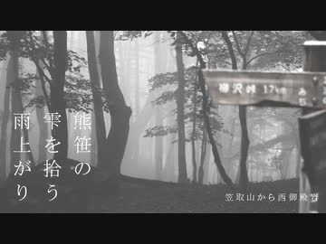 熊笹の 雫を拾う 雨上がり｜笠取山から西御殿岩