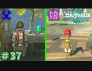 エノキダのDNA強すぎだろ　「ゼルダの伝説～ティアーズ・オブ・ザ・キングダム」　＃37