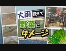 農家「恐怖を感じる」雨続きで野菜の出荷が滞るおそれ、九州は4日から再び大雨の予想