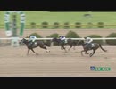 2023年7月4日佐賀競馬5R ヤングジョッキーズＴＲ佐賀 第２戦(C1-5組) サクラトップキセキ