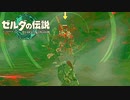 好奇心のせいで進まない【ゼルダの伝説 ティアーズ オブ ザ キングダム / ゲーム実況】part9の前編