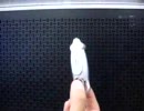 インテル入ってる