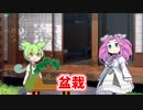 盆栽