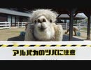 降り鉄の旅 Last Day ～ 新潟よ･･･アルパカよ･･･
