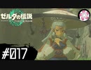 【ティアキン＃17】凡人が行く龍泪旅