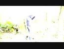 Crazy Evening MV
