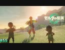 [ゼルダの伝説TotK　#55] 　滅茶苦茶VIP対応受けてる