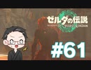 【実況プレイ】 ゼルダの伝説 ティアーズオブザキングダム part61 【いちご大福】