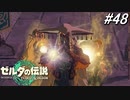 【ティアキン】みんな‼オラに元気を分けてくれ！【ゼルダの伝説 ティアーズ オブ キングダム】実況プレイ part48