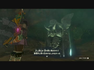 【実況】愛に生きるゼルダの伝説 ティアーズ オブ ザ キングダム part47