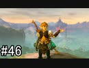 【実況】空の島から始まる新たな冒険【ゼルダの伝説 ティアーズ オブ ザ キングダム】part46