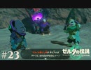 【ゼルダの伝説 Tears of the Kingdom】キルトンがまともに見える【実況】#23