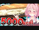【死ぬ…？】茜カロリースペシャル【VOICEROIDキッチン＋生声】