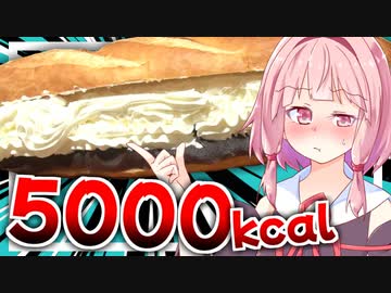 【死ぬ…？】茜カロリースペシャル【VOICEROIDキッチン＋生声】