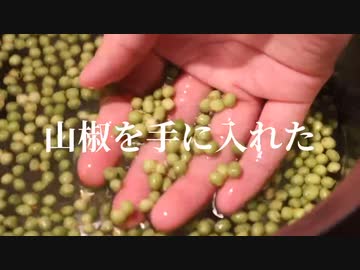 山椒を手に入れたズボラ女が下処理めんどくさくて泣いてる。