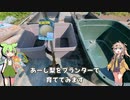 梨をプランターで育てるのだ！