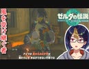 【ゼルダの伝説TotK Part29】チューリの力　※ネタバレあり　【#ゼルダの伝説/#ゼルダの伝説ティアーズオブザキングダム/#ゲーム実況/#初見実況/#VTuber】