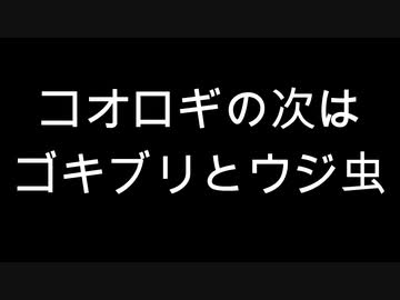 コオロギの次はゴキブリとウジ虫