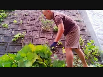 第4期カツドンチャンネル　まだ手に入れてはいけない人間　 ターメリックライス