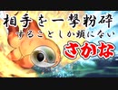 カイリュー交代一点読み謎ムーブでマルスケごとワンパンする金魚