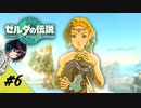 これから本番！？やっとハイラルの地に降り立ちました。【ゼルダの伝説　ティアーズ オブ ザ キングダム】＃6