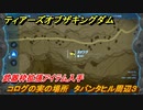 ティアキン　コログの実の場所　タバンタヒル周辺３　武器枠拡張アイテム入手　＃１３１６　【ゼルダの伝説ティアーズオブザキングダム】