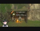 【ゼルダの伝説】周回遅れのティアキン Part23【TotK】