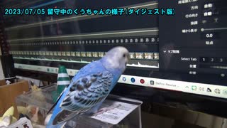 セキセイインコの空(くう)  留守中の様子(ダイジェスト版) 20230705