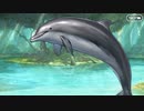 無課金初期勢のFGO　ミスティックアイズ･シンフォニー ～妖しの森と麗しの足跡～編　part3