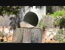 【りなもい コメ無】公園おさんぽ。2023年7月2日