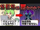 知られざるIT業界の真実 / SESは悪なのか？【ずんだもん解説】