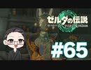 【実況プレイ】 ゼルダの伝説 ティアーズオブザキングダム part65 【いちご大福】