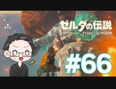 【実況プレイ】 ゼルダの伝説 ティアーズオブザキングダム part66 【いちご大福】