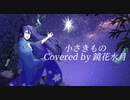 【MV】小さきもの 【歌ってみた】【鏡花水月】