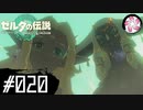 【ティアキン＃20】凡人が行く龍泪旅