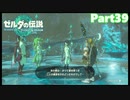 【39】ぼっち勇者の天空探検【ゼルダの伝説ティアーズオブザキングダム】