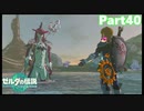 【40】ぼっち勇者の天空探検【ゼルダの伝説ティアーズオブザキングダム】