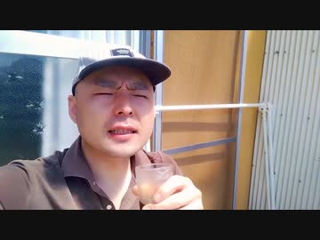 第4期カツドンチャンネル　暑いっ 開墾っ□✨　+ネギ収穫してスパイスチャーハンに