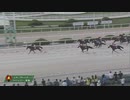 2023年7月6日園田競馬11R ２０２３地方競馬ＪＣＳファイナルステージ第２戦(B2) アヴニールレーヴ