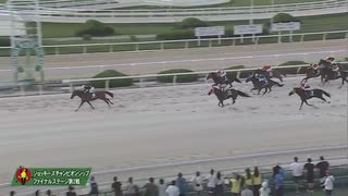 2023年7月6日園田競馬11R ２０２３地方競馬ＪＣＳファイナルステージ第２戦(B2) アヴニールレーヴ