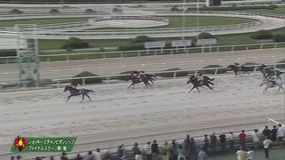 2023年7月6日園田競馬9R ２０２３地方競馬ＪＣＳファイナルステージ第１戦(C1) スターザサンライズ