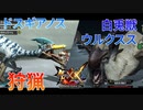 【実況】ぼっちハンターが行く！モンスターハンターXX第47回