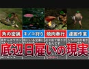 初代モンハンがヤバすぎるwww.part3