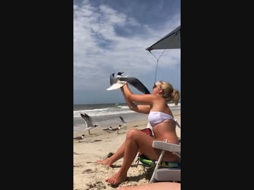 ホモと見る素手で野鳥を捕まえる女