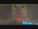 【ゼルダの伝説】マイペースに行くリンクと引きこもり#17【ブレスオブザワイルド】