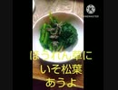 ほうれん草にいそ松葉あうよ年代物のガラクタなかなか捨てられないほうれん草違ったほうれんぞう　大阪弁