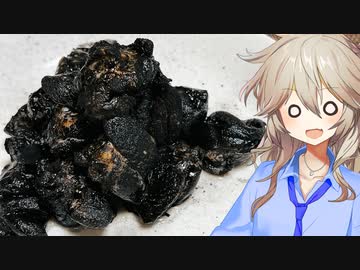 春日部つむぎ「ダークマター作ってみた」【VOICEVOX】