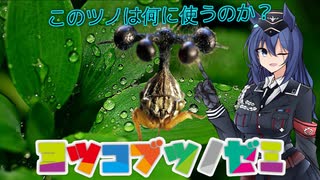 [ツノゼミ]　個性際立つ昆虫　ヨツコブツノゼミ　[VOICEROID解説]