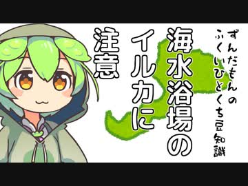 ずんだもん「イルカ触りたいなら水族館にしとくのだ」