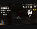 灰道嘉狼のMODたっぷりスカイリムリブート70
